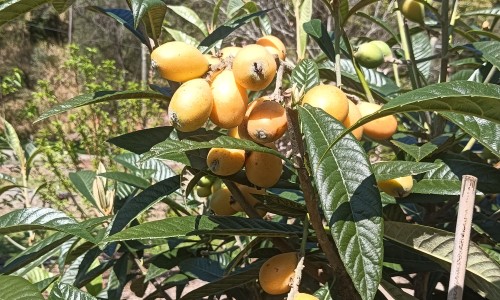 权威六点醒来胸口出汗是咋回事平台,分享专业醒来胸口有汗水是什么原因知识_六点醒来胸口出汗网